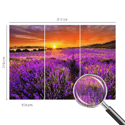 Peel and stick fototapet med motiv av lavendel i solnedgång