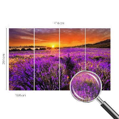Peel and stick fototapet med motiv av lavendel i solnedgång