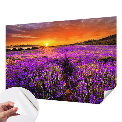 Peel and stick fototapet med motiv av lavendel i solnedgång