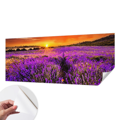 Peel and stick fototapet med motiv av lavendel i solnedgång