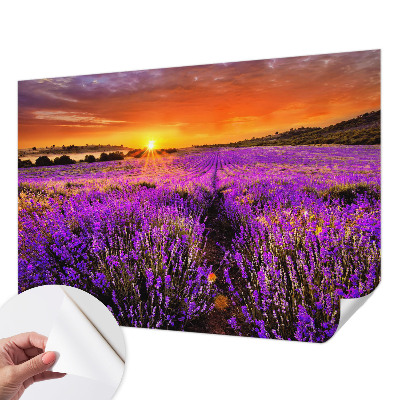 Peel and stick fototapet med motiv av lavendel i solnedgång