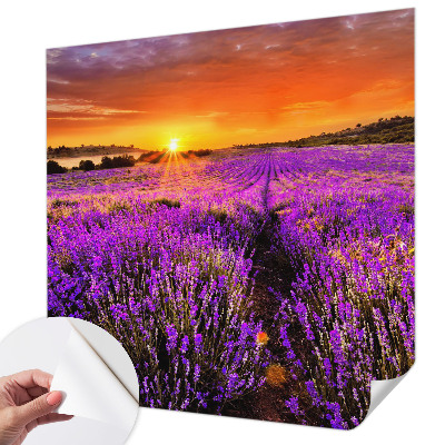 Peel and stick fototapet med motiv av lavendel i solnedgång