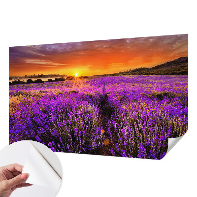 Peel and stick fototapet med motiv av lavendel i solnedgång