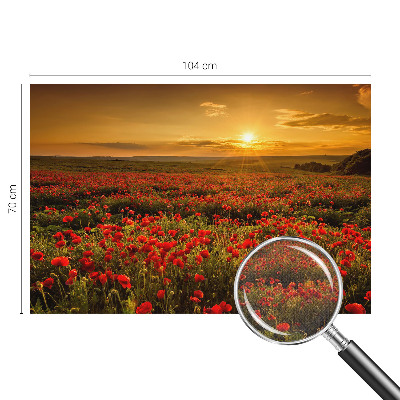 Fototapet barnrum Vallmofält