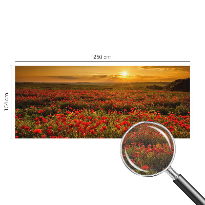 Fototapet barnrum Vallmofält