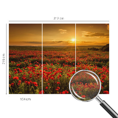 Fototapet barnrum Vallmofält