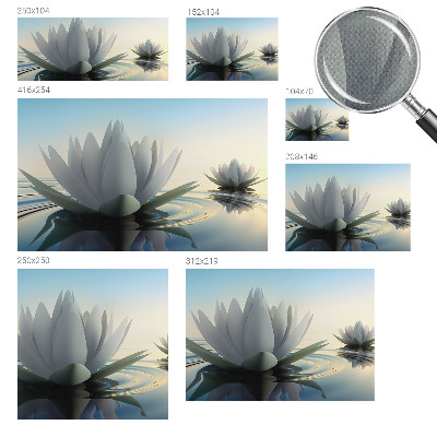 Peel and stick fototapet med motiv av näckrosor