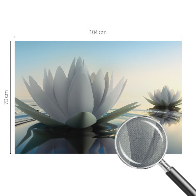Peel and stick fototapet med motiv av näckrosor