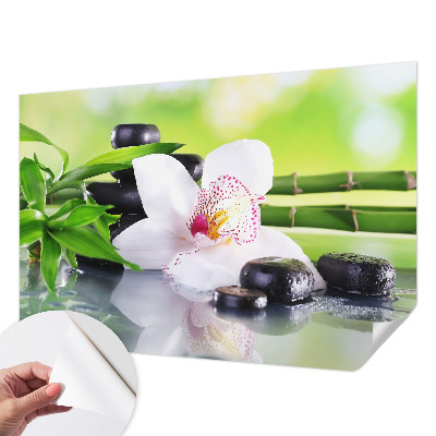 Fototapet barn Naturens frid