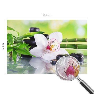 Fototapet barn Naturens frid