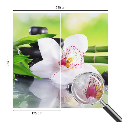 Fototapet barn Naturens frid