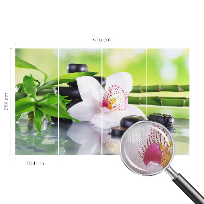 Fototapet barn Naturens frid