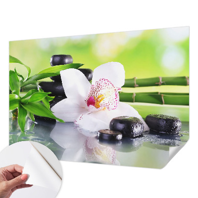 Fototapet barn Naturens frid