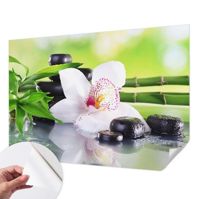 Fototapet barn Naturens frid