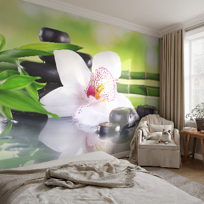 Fototapet barn Naturens frid