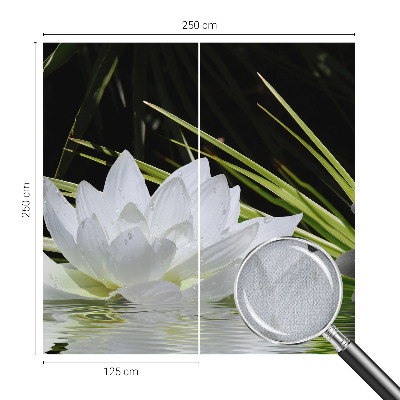 Självhäftande fotovägg Liljameditation