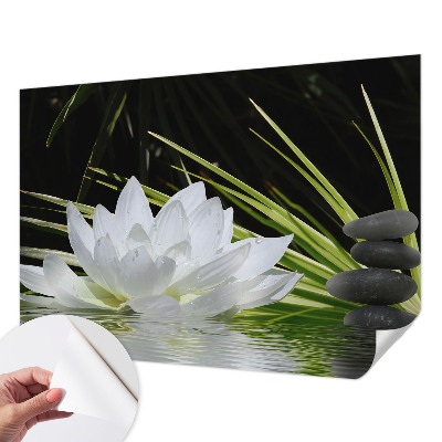 Självhäftande fotovägg med motiv av liljemeditation