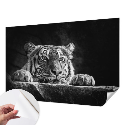 Peel and stick fototapet Rovdjursliknande blick