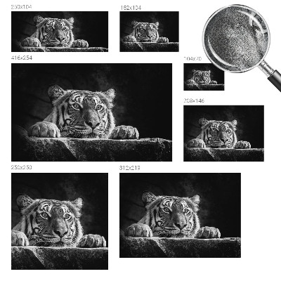 Peel and stick fototapet med ett rovdjursliknande uttryck