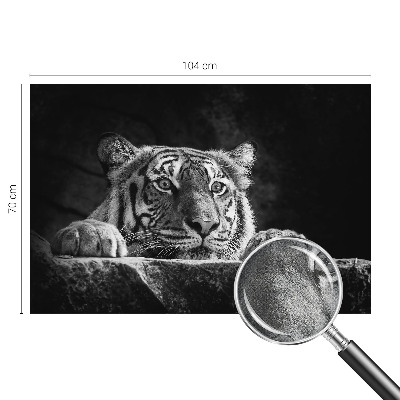 Peel and stick fototapet med ett rovdjursliknande uttryck