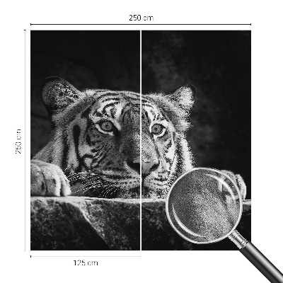 Peel and stick fototapet med ett rovdjursliknande uttryck