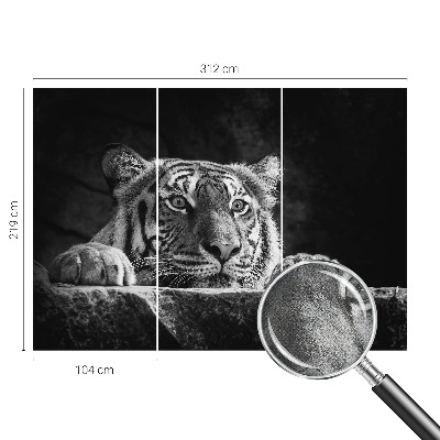 Peel and stick fototapet med ett rovdjursliknande uttryck