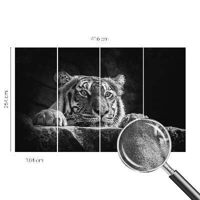 Peel and stick fototapet med ett rovdjursliknande uttryck