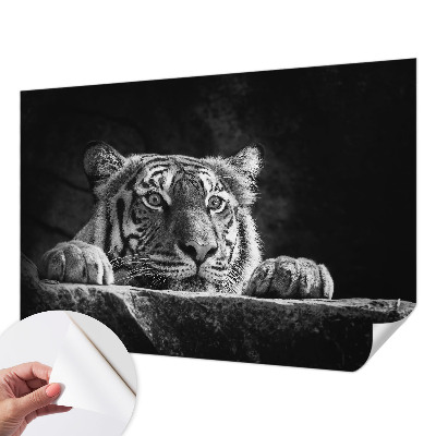 Peel and stick fototapet Rovdjursliknande blick