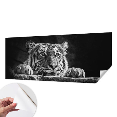 Peel and stick fototapet Rovdjursliknande blick