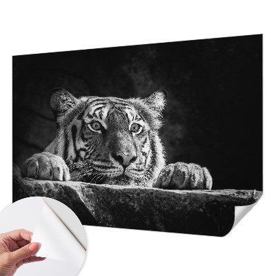 Peel and stick fototapet Rovdjursliknande blick