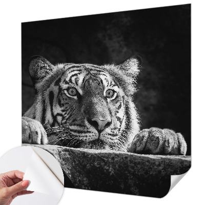 Peel and stick fototapet Rovdjursliknande blick