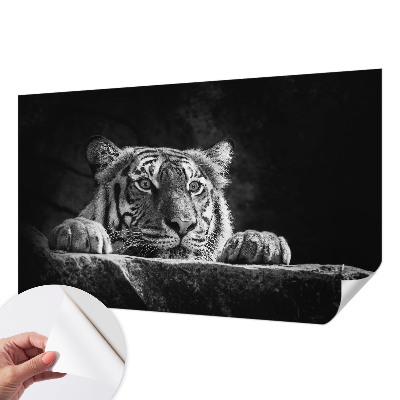 Peel and stick fototapet Rovdjursliknande blick