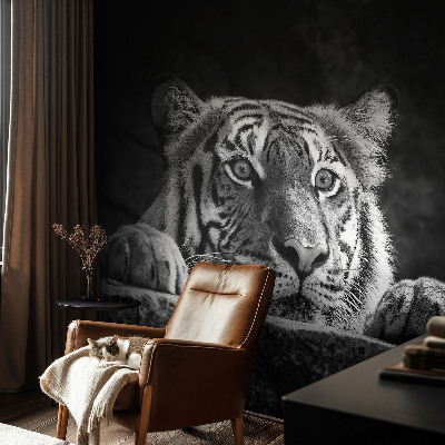 Peel and stick fototapet Rovdjursliknande blick