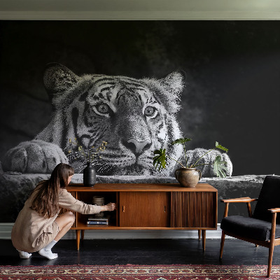 Peel and stick fototapet Rovdjursliknande blick