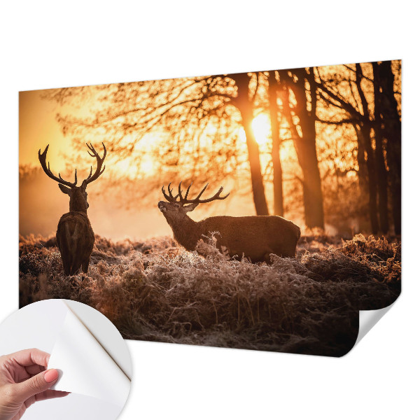 Fototapet barnrum med motiv av en hjort på morgonen