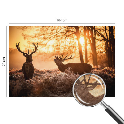 Fototapet barnrum Hjort på morgonen