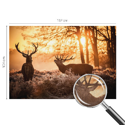 Fototapet barnrum Hjort på morgonen