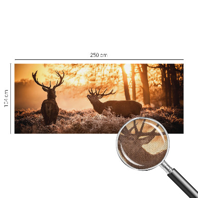 Fototapet barnrum Hjort på morgonen