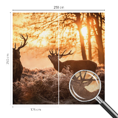 Fototapet barnrum med motiv av en hjort på morgonen