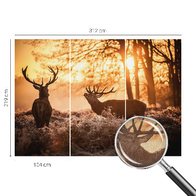 Fototapet barnrum Hjort på morgonen