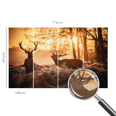 Fototapet barnrum Hjort på morgonen