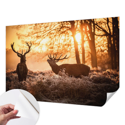 Fototapet barnrum med motiv av en hjort på morgonen