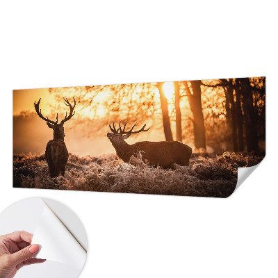 Fototapet barnrum med motiv av en hjort på morgonen