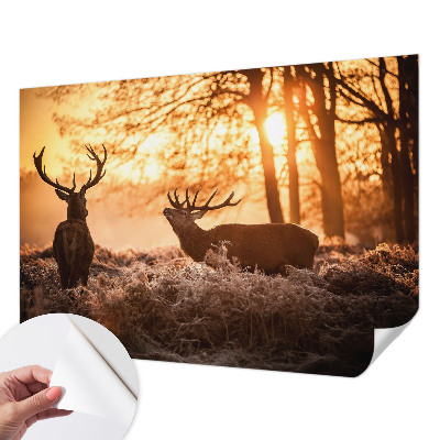 Fototapet barnrum med motiv av en hjort på morgonen