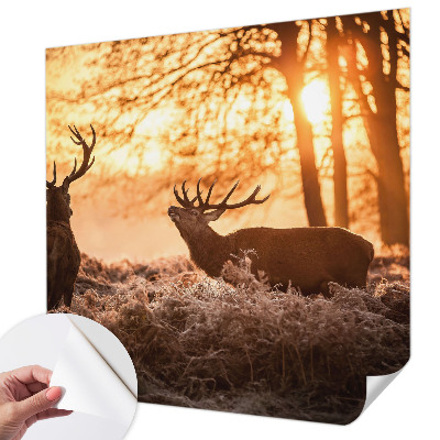 Fototapet barnrum med motiv av en hjort på morgonen