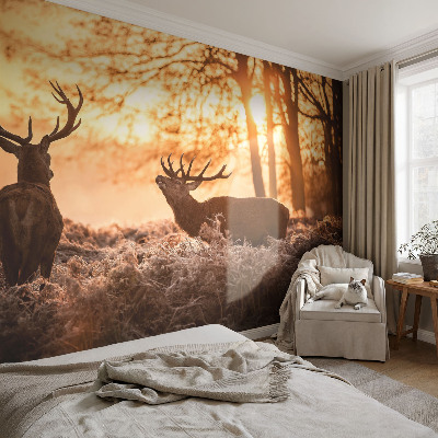Fototapet barnrum med motiv av en hjort på morgonen