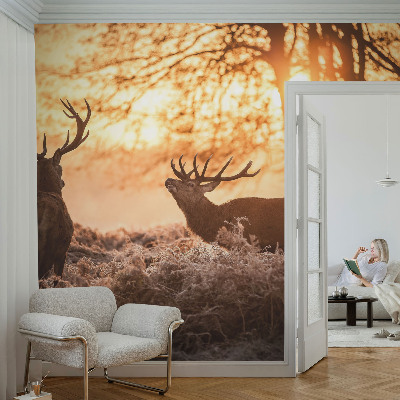 Fototapet barnrum med motiv av en hjort på morgonen