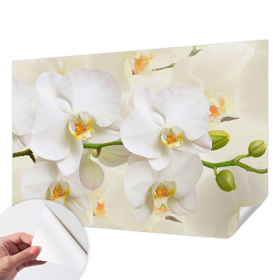 Självhäftande fototapet med motiv av blommor