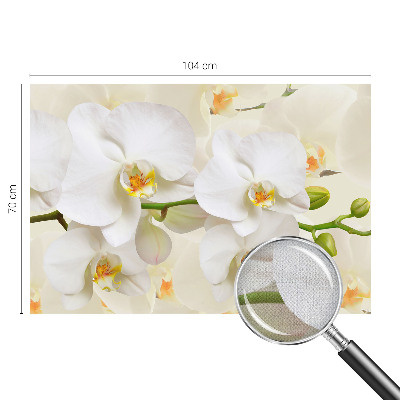 Självhäftande fototapet med motiv av blommor