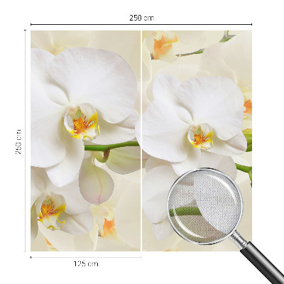Självhäftande fototapet med motiv av blommor